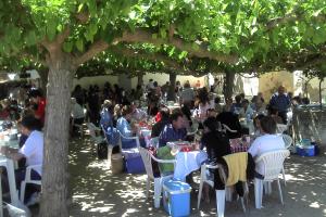 Grup Orquestra per a trobada i Aplec popular